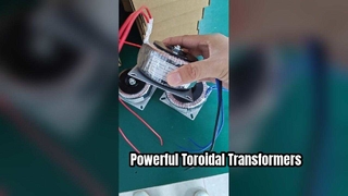 30W 60W toroidal transformer