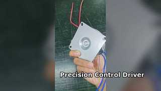 30W Toroidal transformer